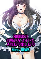 幼馴染のお姉さんメイドと入れたり出したり 1